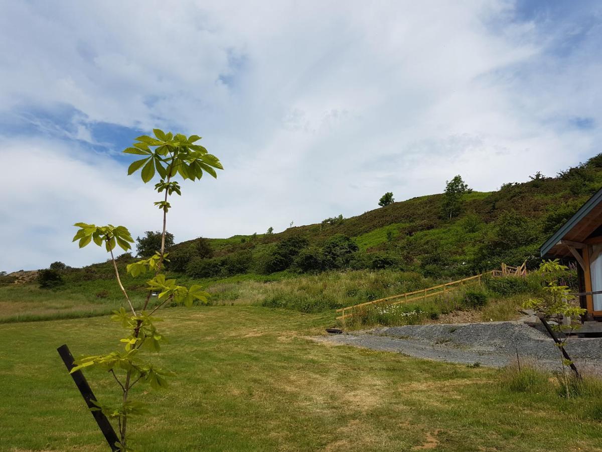 Chalet Newland Valley Log *