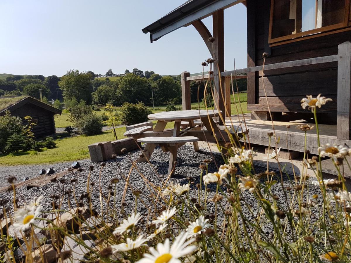 Chalet Newland Valley Log *