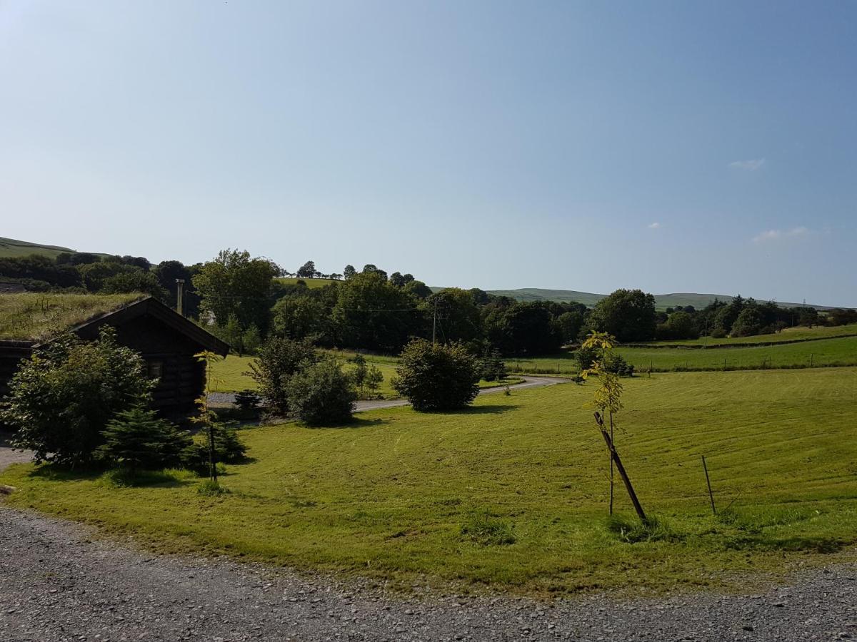 Newland Valley Log