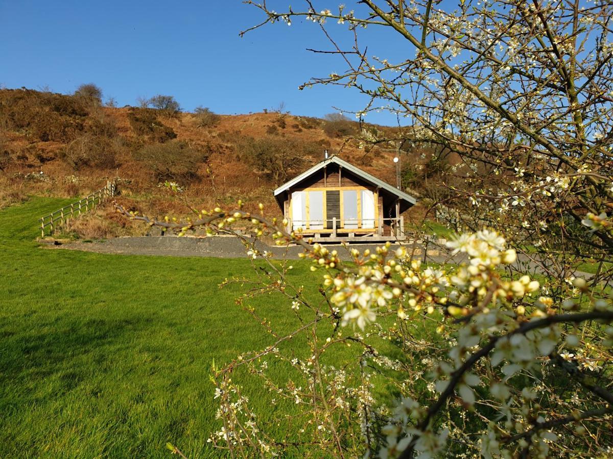 Newland Valley Log *