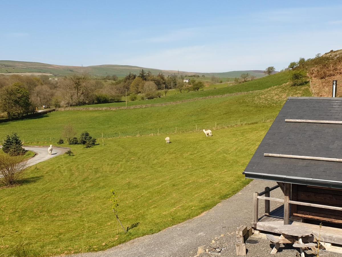Chalet Newland Valley Log Ulverston