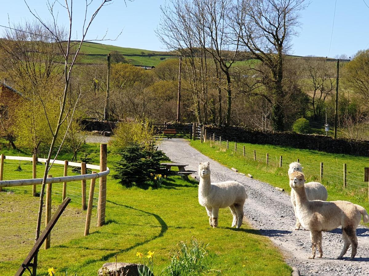 Newland Valley Log Ulverston