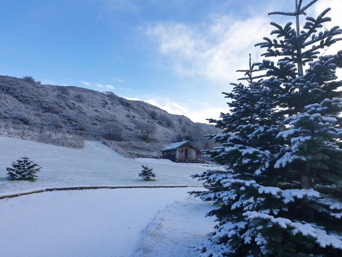 Chalet Newland Valley Log