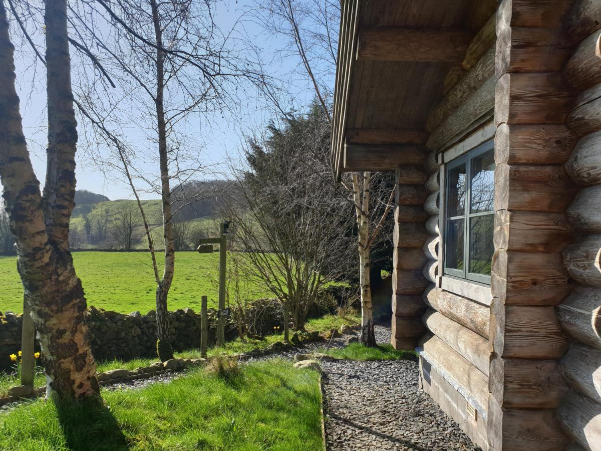 Newland Valley Log Chalet Ulverston