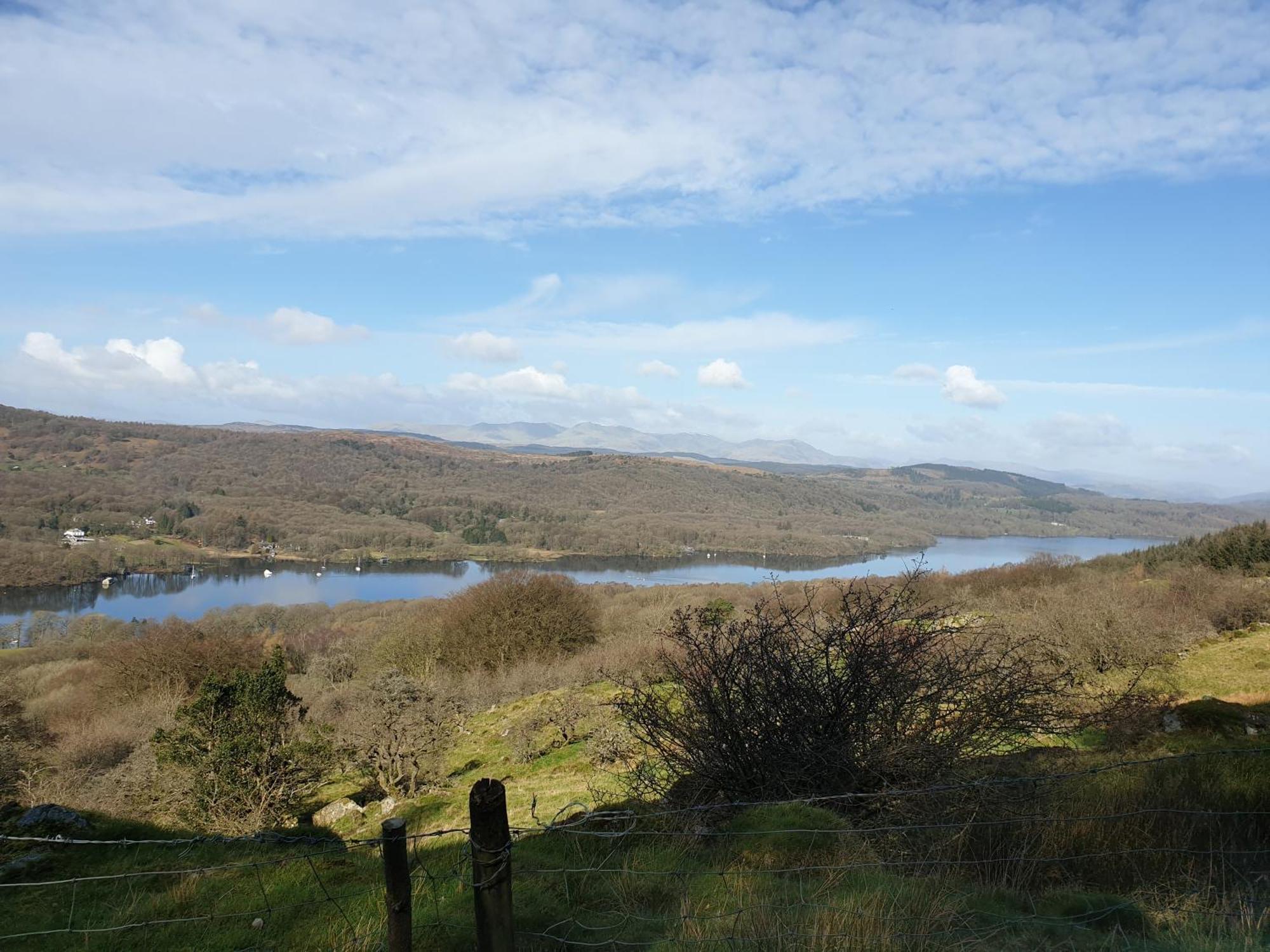 Newland Valley Log *
